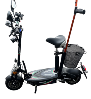 TRENDIAMO Move, geregistreerd gehandicapten voertuig conform (EU)2017/745 MDR, Rijklaar