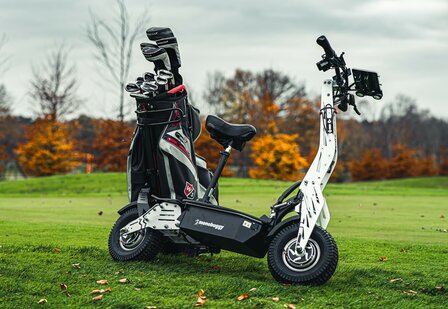 Monobuggy 1000W 2x wielaangedreven golfstep Direct Drive met toelating openbare weg.