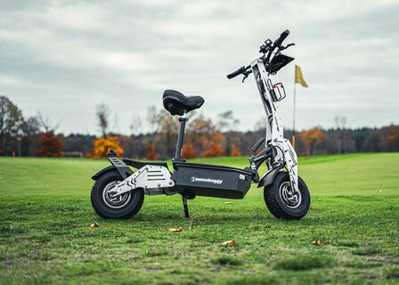 Monobuggy 1000W 2x wielaangedreven golfstep Direct Drive met toelating openbare weg.